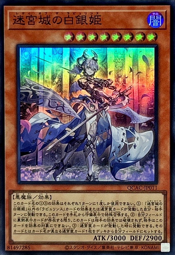 迷宮城の白銀姫(武装)