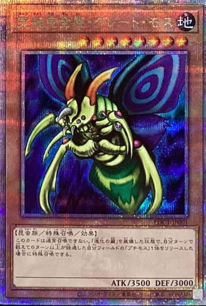 PSA10ホルアクティ×5枚封入！超絶GOD降臨祭！！ | 日本トレカ